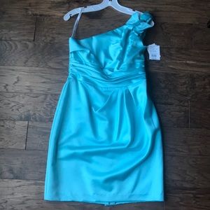 David’s Bridal Dress